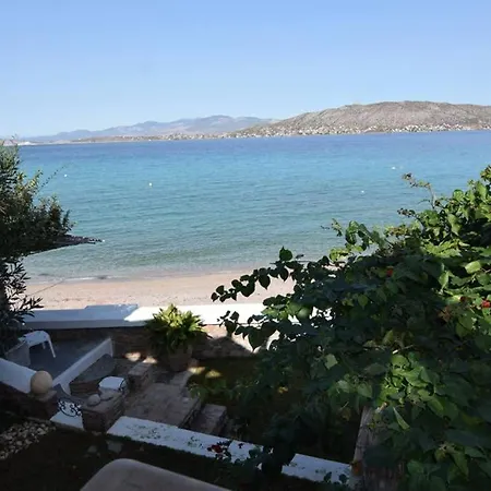 Ammos Salamina Villa *